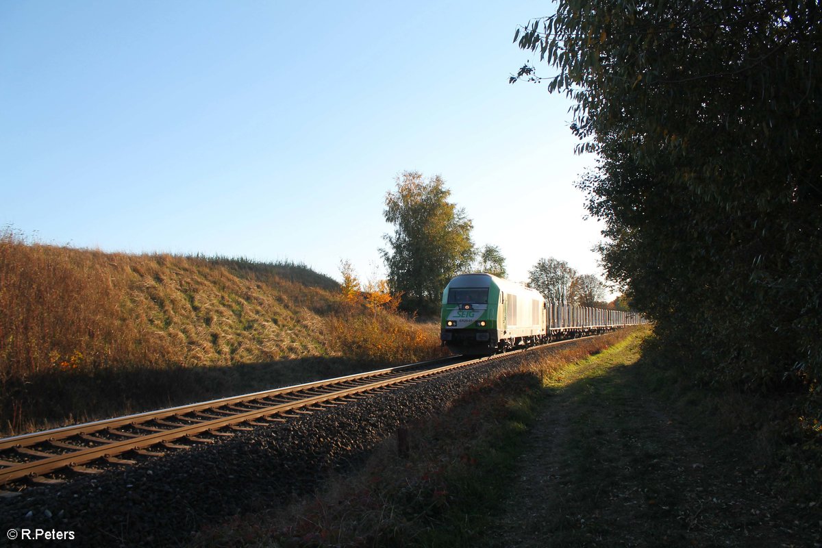 ER20-01 zieht ein leeren Holzzug nach Cheb kurz vorm Seußener Viadukt. 12.10.18