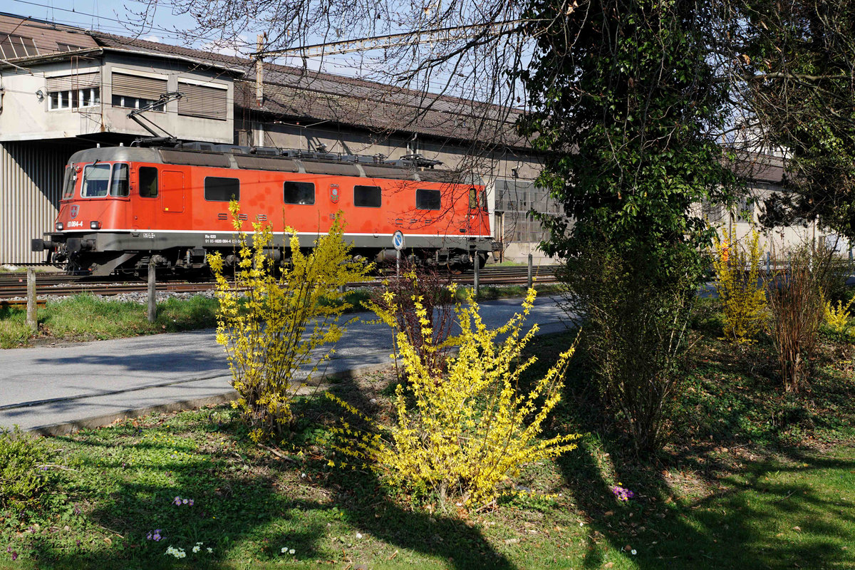 ERSTES FRÜHLINGSERWACHEN MIT BLÜHENDEM FORSYTHIE-STRAUCH UND DER Re 620 084-4  UZNACH .
Am 19. März 2020 konnte die Re 620 084-4 in Gerlafingen beobachtet und fotografiert werden. Besondere Beachtung gilt dem weissen f. Hier handelt es sich um eine der wenigen Re 620 Lokomotiven mit Funkverbindung.
Wegen dem Frühlingsanfang wählte ich zur Abwechslung ein Bahnmotiv der anderen Art. Diese tollen Blüten erlebt man schliesslich als Bahnfotograf nicht während dem ganzen Jahr.
Foto: Walter Ruetsch