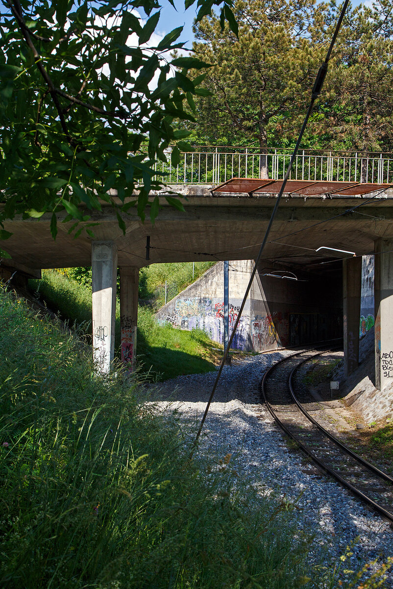 Es war einmal....
Hier war mal die ehemalige MVR (ex CEV) Haltestelle Vevey Gilamont. Heute muss man weiter hoch zur neuen Haltestelle Vevey Vignerons (hinter dem Tunnel) fahren, hier am 26. Mai 2023.

Für das Einschottern des ehemaligen Bahnsteiges brauchte man übrigens eine Sperrpause von 2 Tagen.

Zum Fahrplanwechsel am 11. Dezember 2022 wurde die Station Gilamont geschlossen. Zeitgleich wurde die neue Station Vevey Vignerons in Betrieb genommen. Bereits im Juli 2019 wurde die Station Clies aufgrund von Sicherheitsdefiziten geschlossen.