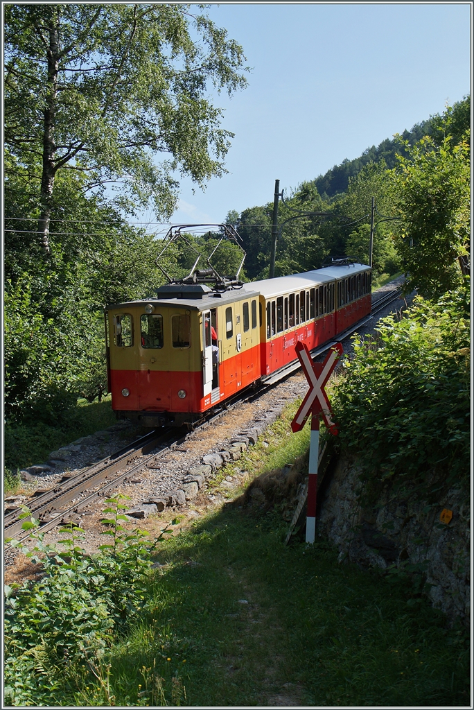 Etwas oberhalb von Wilderswil strebt dieser SPB Zug steil bergwärt.
12. Juli 2015 
