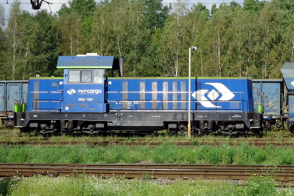 Flankenschss von PKP SM42-1283 in Wegliniec am 23 September 2014.