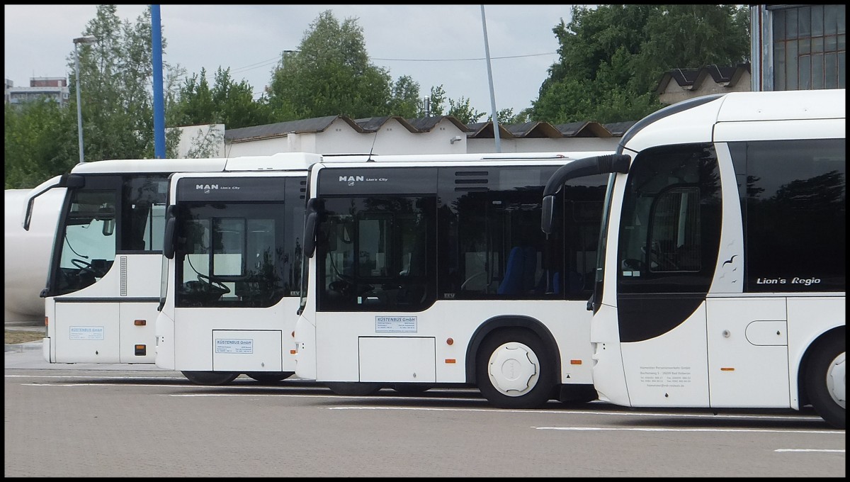 Fronten vom Setra 317 UL von Kstenbus, zwei mal MAN Lion's City von Kstenbus und MAN Lion's Regio von Hameister aus Deutschland in Rostock.