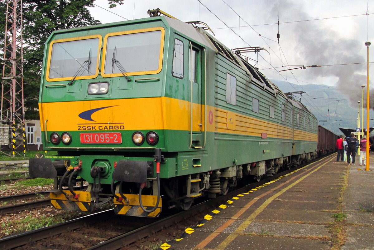 Froschblick auf ZSSK Doppellok 131 095 in Vrutky am 31 Mai 2015.