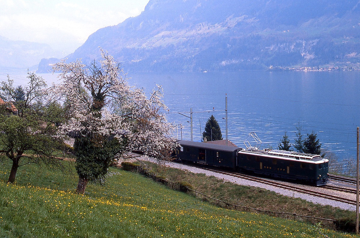Frühling am Brienzersee: Ein unbekannter Deh 4/6 fährt im Frühjahr 1981 auf dem Weg nach Interlaken in Niederried ein