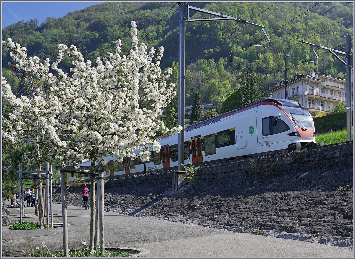 Frühling am Genfersee und ein Flirt auf dem Weg nach Villeneuve. 

16. April 2020