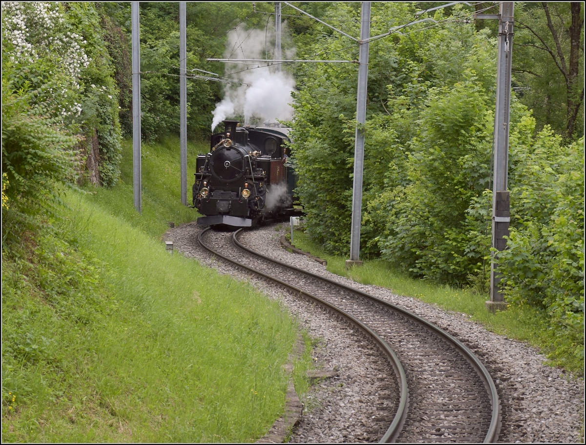 Furkalok am Genfersee mit dem Riviera-Express. Die HG 3/4 3 wurde 1913 an die Brig-Furka-Disentis-Bahn (BFD) geliefert, nach deren Konkurs wechselte nur der Name in Furka-Oberalp-Bahn (FO). Hier bei Vevey-Gilamont. Juni 2017.