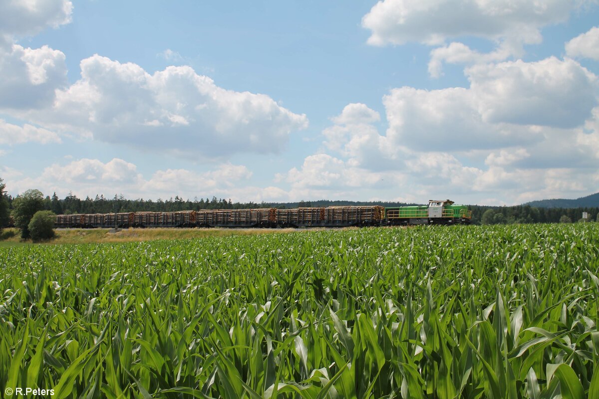 G1700.03 mit einem Rundholzzug aus Nürnberg langwasser nach Cheb kurz vor Waldershof. 06.07.22