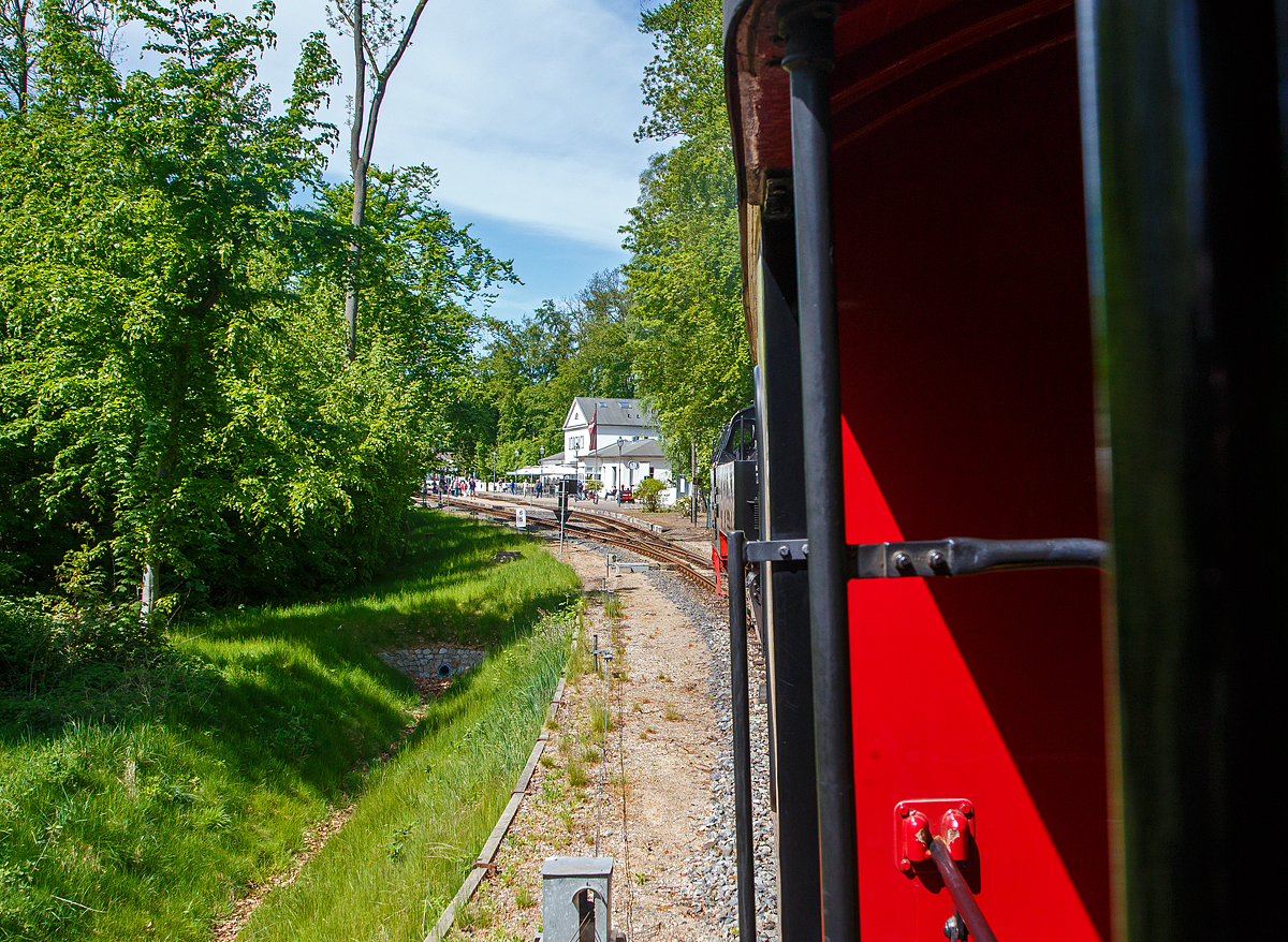 Gefhrt von der 99 2322-8 der Mecklenburgischen Bderbahn Molli erreicht unser Molli (MBB Dampfzug von Bad Doberan nach Khlungsborn-West) am 15.056.2022 nun bald den Bahnhof Heiligendamm.