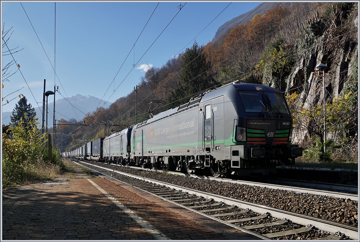 Gegenlicht und schwarze Loks - wäre das Motiv nicht einigermassen interessante gewesen, hätte ich nicht abgedrückt: Zwei an SBB Cargo International vermietete E 193 sind mit einem langen Güterzug in Varzo auf Bergfahrt.
21. Nov. 2017