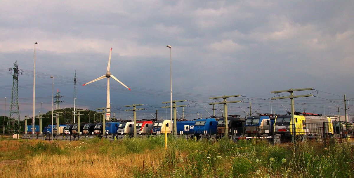 Gesamtblick auf den einsehbaren Teil der Ajax Lokabstellung. Waltershof 10.07.2021