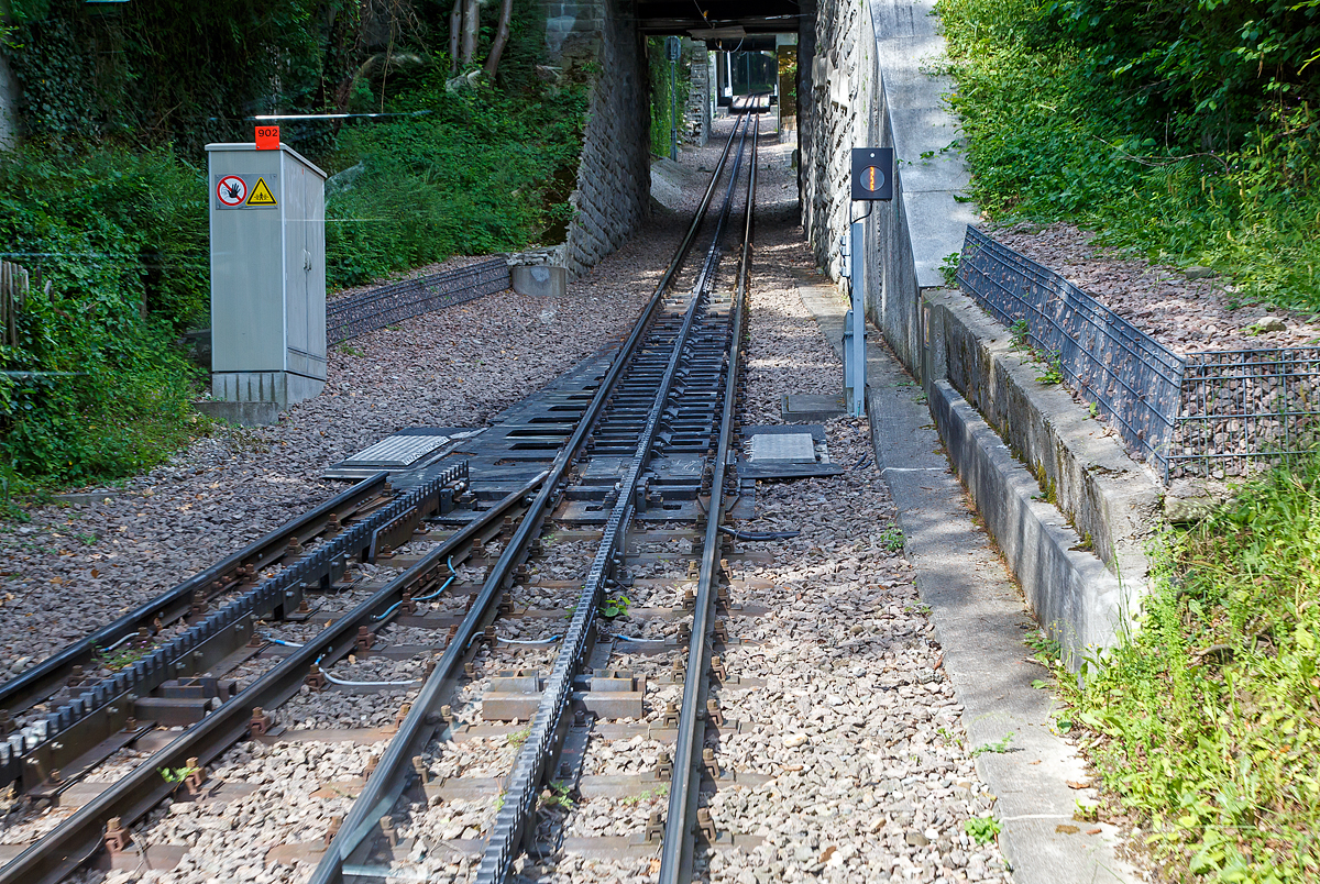 Gleis der Dolderbahn hier am 06.06.2015 an der Ausweichstelle. 

Im Vordergrund sieht man sehr gut die Schwenkweiche, Schleppweiche oder auch Schiebeweichen (Federweiche) mit dem Zahnstangensystem „von Roll“. Die von der Firma Von Roll (heute Tensol) entwickelte Zahnstange ist nur dem Namen nach eine Lamellenzahnstange, nämlich eine einlamellige. Sie hat dieselbe Zahnteilung (100 mm) wie die Riggenbach'sche und die Strub'sche Zahnstange (aus welcher sie auch entwickelt wurde). Von letzterer unterscheidet sie sich nur in der Grundform, einfaches Breitflach-Profil anstatt einer Keilkopfschiene ähnliches Profil. Die von Roll Zahnstange kommt in erster Linie bei Neubauten sowie als preisgünstiger Ersatz alter Zahnstangen nach den Systemen Riggenbach oder Strub zur Anwendung. Sie ist zwar dicker (30–80 mm, je nach Zahndruck) als eine der Lamellen nach Abt, doch ihre Biegsamkeit ist ausreichend, um flexibler als die Originale nach Riggenbach oder Strub anwendbar zu sein. Sie kann auch durchgehend verschweißt werden. So sind auch diese Schwenkweichen einfach machbar.

Bei der Schiebeweiche wird ein Teilstück der gesamte Fahrbahn (ganze Gleises mit Zahnstange) verschwenkt bzw. verbogen, es gibt beim herkömmlichen Zweischienengleis keine durchlaufenden Außenschienen. Die Weichenzungen sind hier gerade und an der Weichenspitze beweglich gelagert, die Stellvorrichtung liegt am inneren Ende der Weichenzunge und verschiebt die Schienen und Zahnstange auf den geraden oder den abzweigenden Strang. Anstelle eines Herzstückes haben Schleppweichen, die von Fahrzeugen mit Spurkranzrädern befahren werden, ein drehbares Schienenstück, welches in den zu befahrenden Schienenstrang gedreht wird.

Die ersten Eisenbahnweichen waren Schleppweichen. Da sie insbesondere bei höheren Geschwindigkeiten nicht betriebssicher waren, wurden sie bei den Eisenbahnen bald durch andere Bauformen ersetzt. Ihr Einsatzgebiet sind heute meist noch Bergbahnen, die aus Sicherheitsgründen über doppelte Spurkränze verfügen oder mit Zangenbremsen ausgestattet sind. Ein bekanntes Beispiel dafür sind die Rigi-Bahnen.

Seit 1999 setzen die Rigi-Bahnen neu entwickelte, als Federweichen bezeichnete Zahnstangenweichen ein, in welchen das Gleis von der einen Endlage in die andere entlang einer definierten Kurve gebogen wird. Die Konstruktion hat weniger bewegliche Teile als eine übliche Zahnstangenweiche und benötigt keine Weichenheizung.