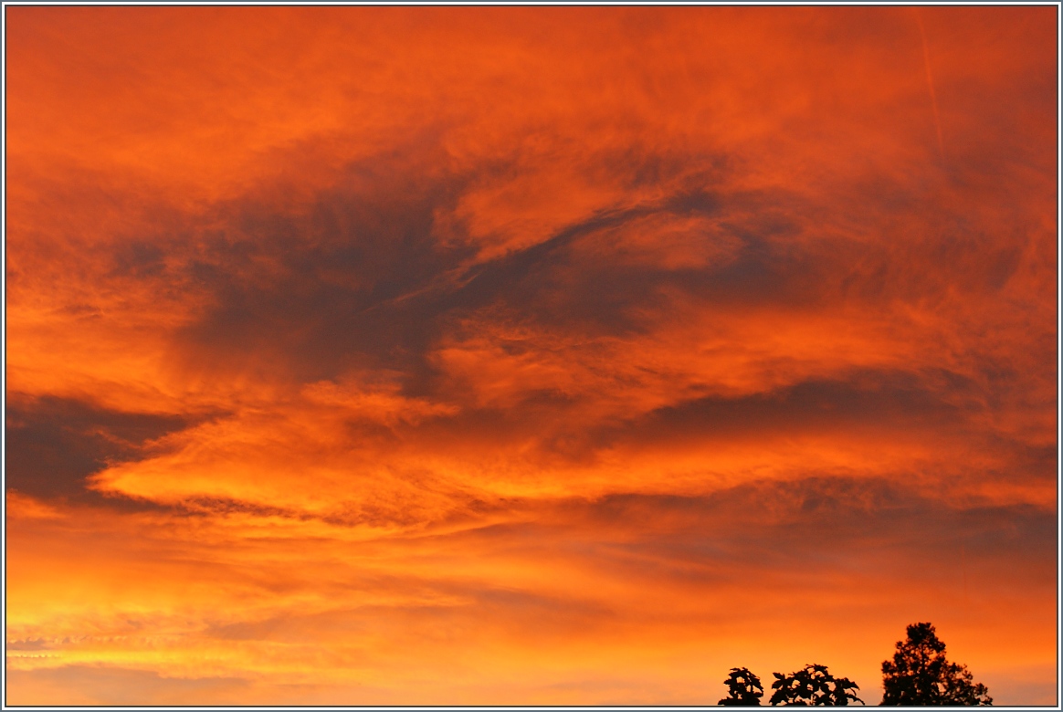 Gl�hender Abendhimmel
(25.10.2013)