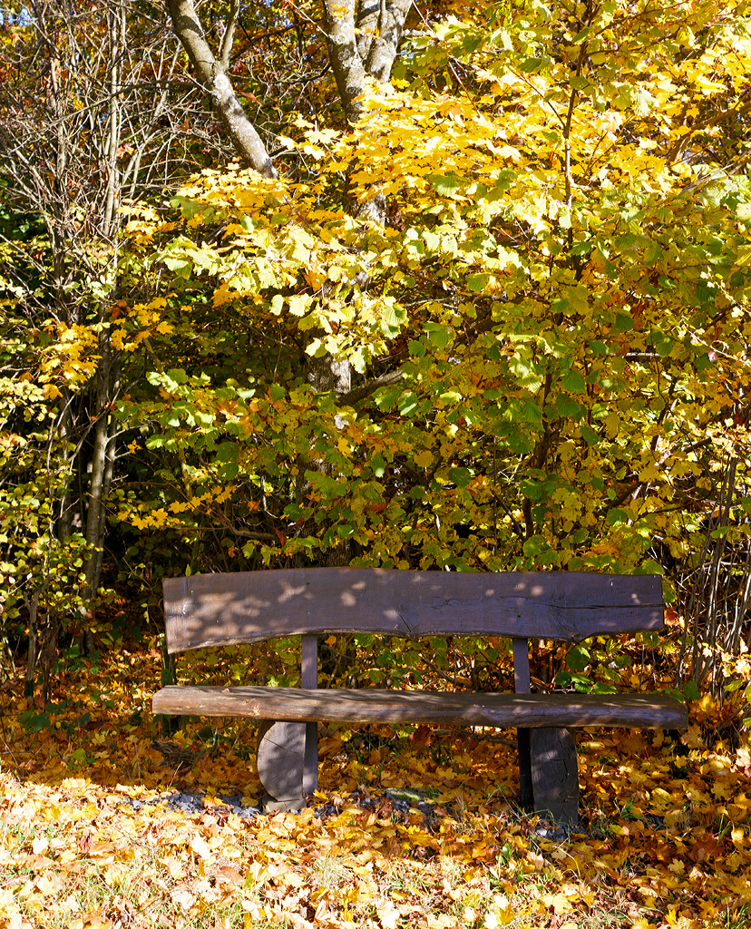 
Goldener Herbst....(speziell für Jeanny)....
Eine Oma-Bank zum Verweilen, zwischen Friedewald und Langenbach am 27.10.2015.