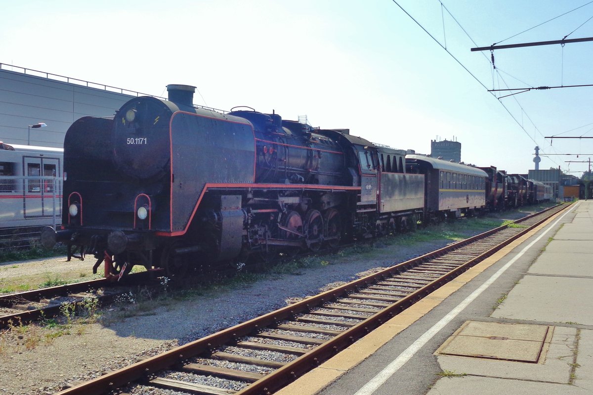 Grossohr 50.1171 steht am 21 September 2018 in Wien-Heiligenstadt.