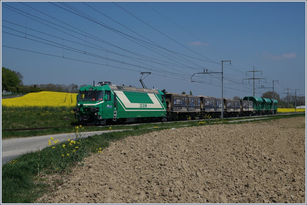 Güterverkehr bei der BAM: 2015 42 000 Tonnen, dank eines neuen Kieswerks ab Sommer 2016 nun gegen 235 000 Tonnen pro  Jahre zusätzlich. Das Bild zeigt die Ge 4/4 21 mit einem leeren Kieszug auf der Fahrt von Gland nach Apples bei Yens.
11. April 2017