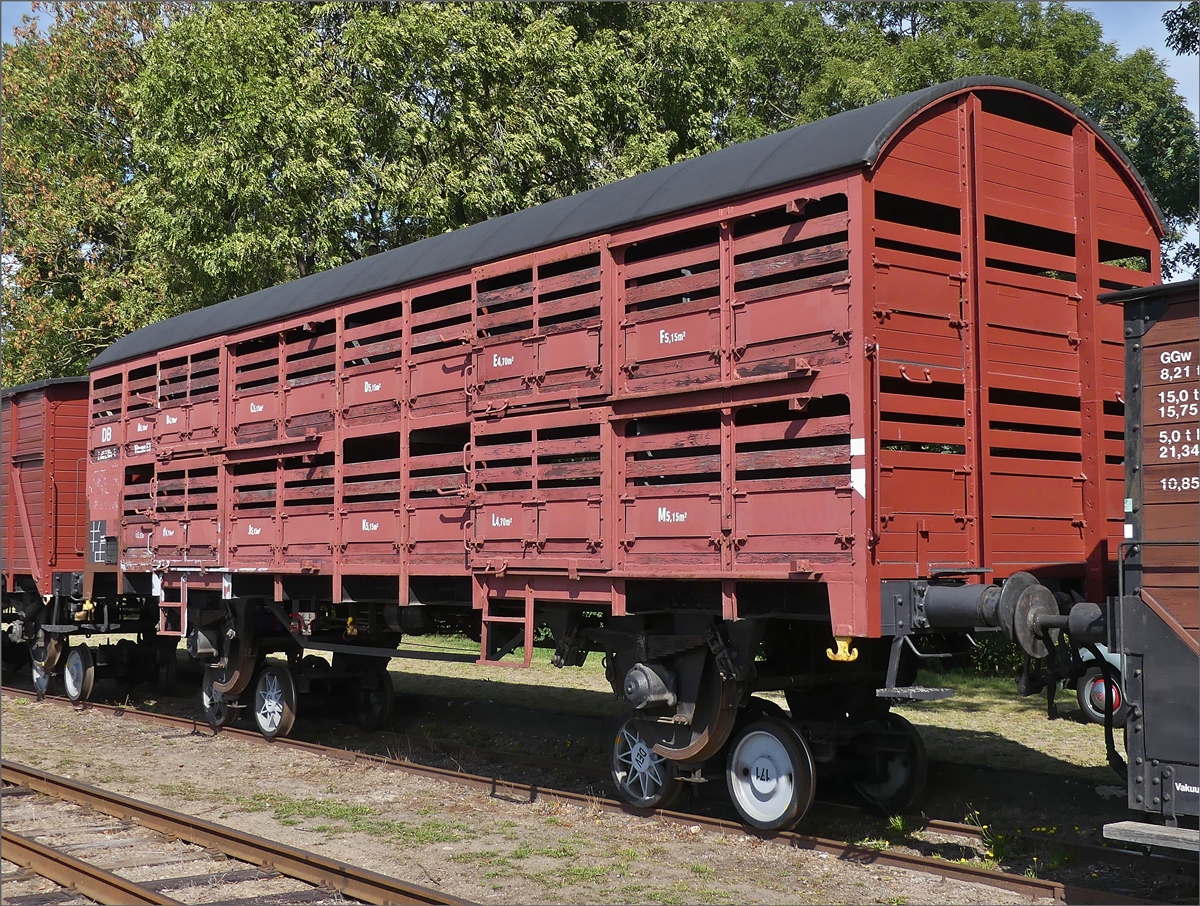 Gterwagen Nr. 8 (Vlmms 63) des DEV steht auf Rollbcken der Schmalspurbahn auf einem Nebengleis an der Haltestelle Heiligenberg.  15.09.2019  (Jeanny)