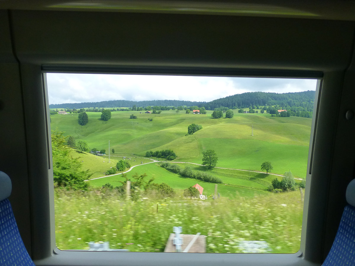 Gut erkennbar ist die Fenster- und Sitzpartie des SNCF-Triebwagens 73754 im Aufstieg von Le Locle aufs Hochplateau und weiter nach La Chaux-de-Fonds. 4.Juli 2013 