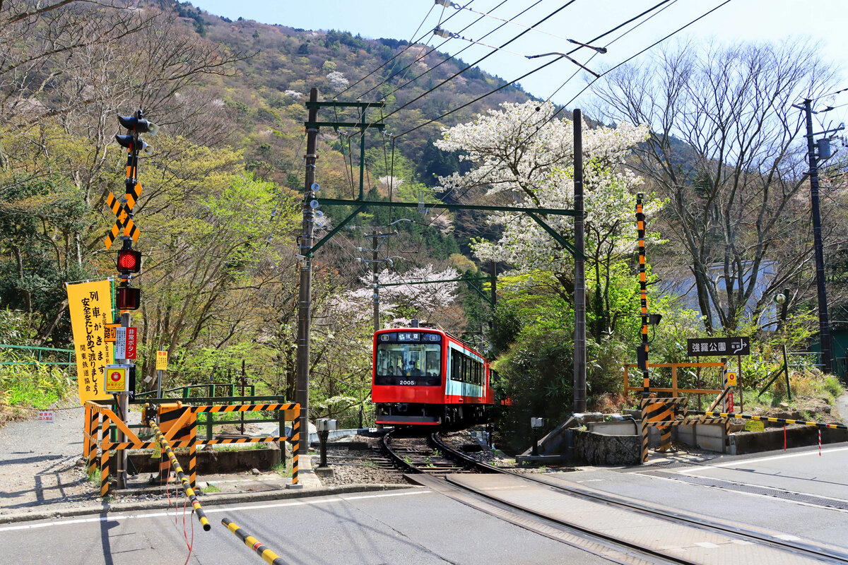 Hakone Tozan Tetsudô, Partnerbahn der RhB: Im steilen Aufstieg von Miyanoshita nach Kowakidani (80 Promille) erscheint der 1997 gebaute Zug 2005-2203-2006 vom Typ  Sankt Moritz . 12.April 2022 