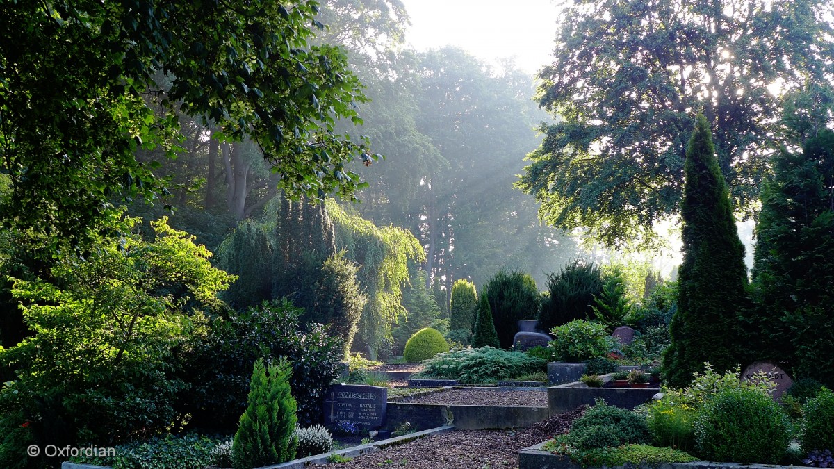 Hankensbüttel, der Friedhof im frühen Morgenlicht.