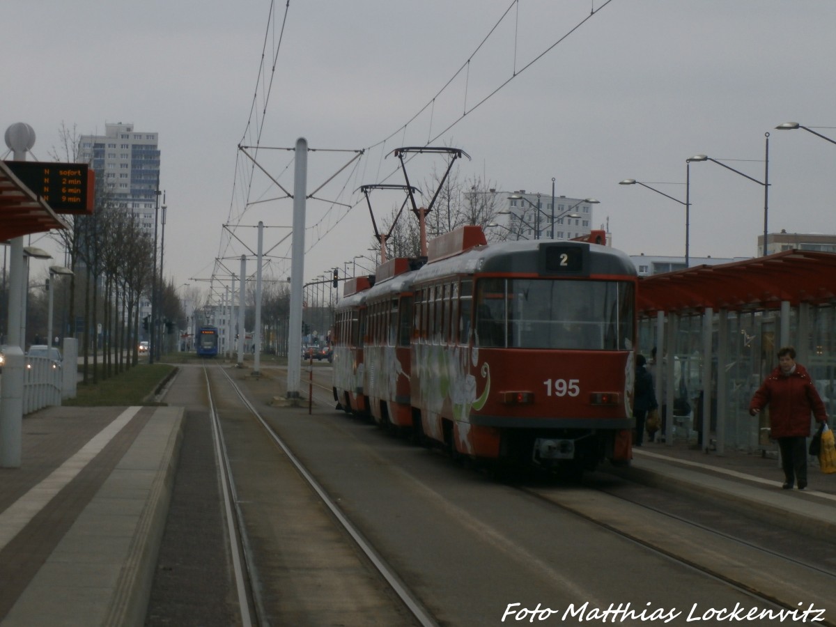 HAVAG Wagen 1160 und Beiwagen 195 an der Haltestelle Halle, Schwimmhalle am 11.2.15