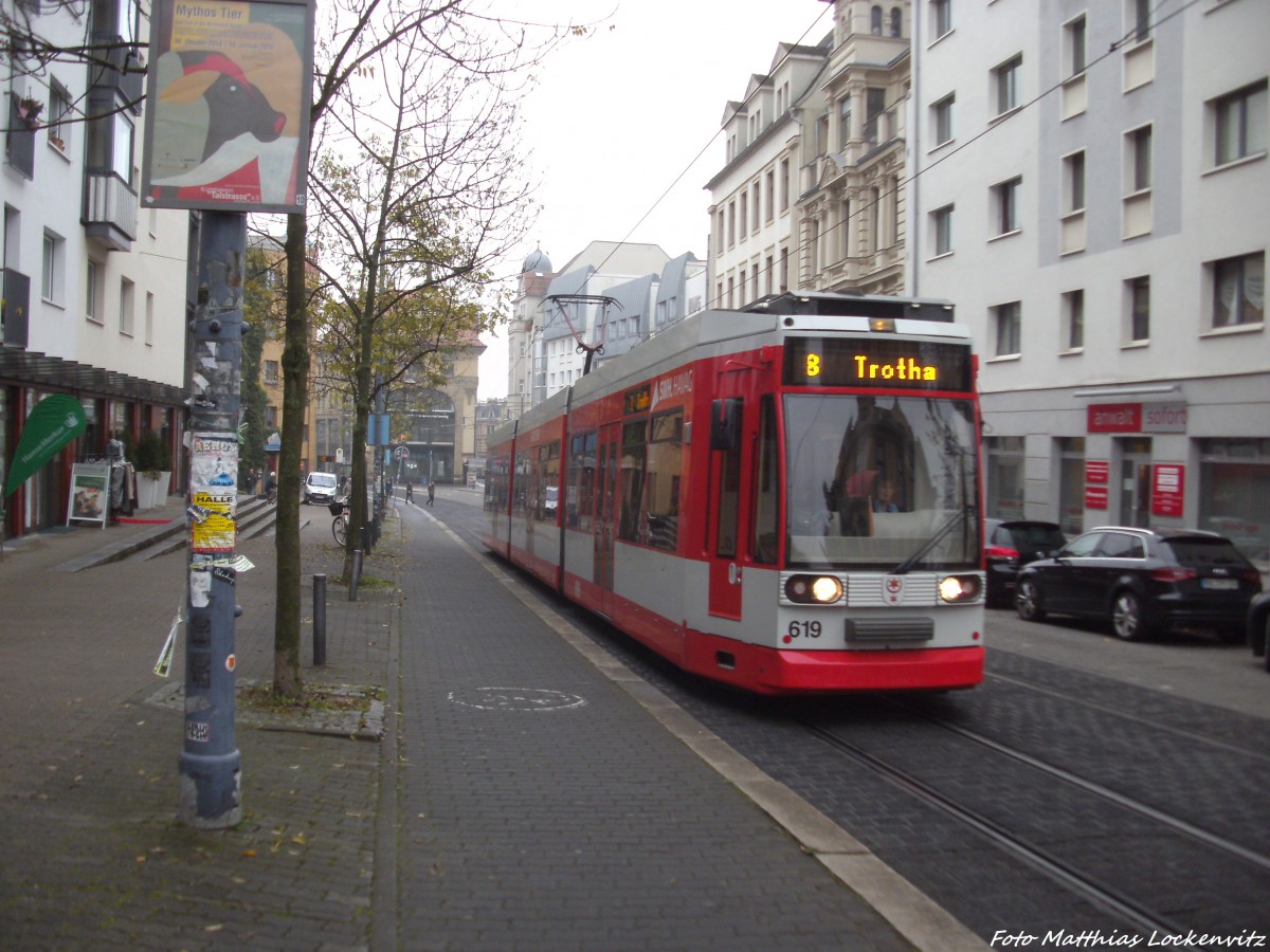 HAVAG Wagen 619 als Linie 8 mit ziel Trotha kurz hinter der Haltestelle Moritzburgring am 12.11.14