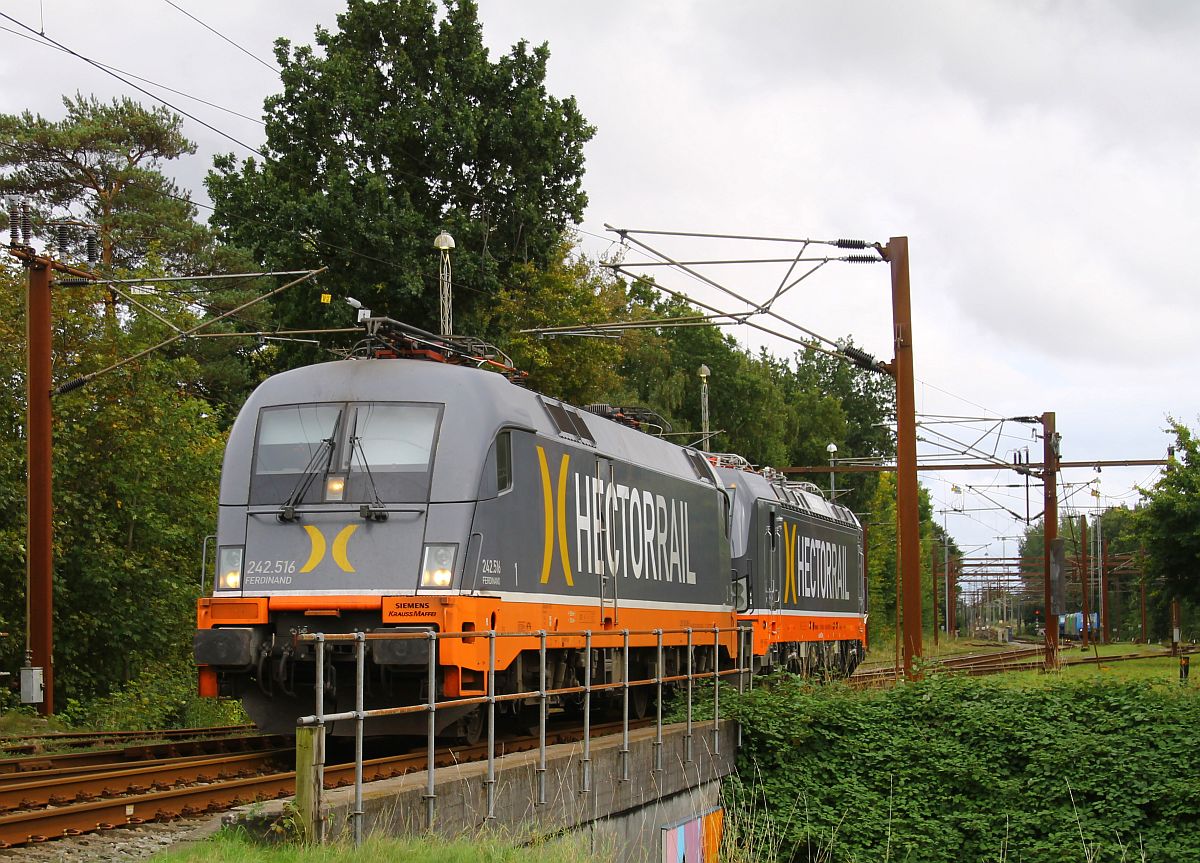 Hectorrail 242.516  Ferdinand  fährt mit dem neuen Vectron 243.124 im Schlepp in den Bahnhof Pattburg/Padborg ein, 27.09.2022