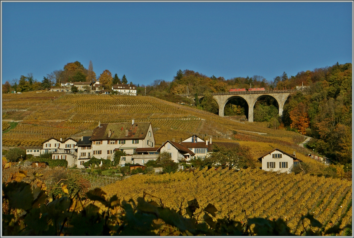 Herbst im Lauvaux: Ein Gterzug mit zwei Re 4/4 II kurz vor Bossire.
11.11.13