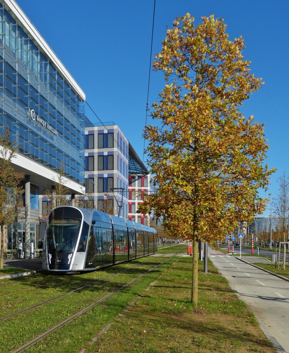 Herbstfarben in der Stadt Luxemburg, Straenbahn fhrt an herbstlich gefrbten Bumen auf dem Kirchberg in der Stadt Luxemburg an mir vorbei. 18.11.2020 (Hans)