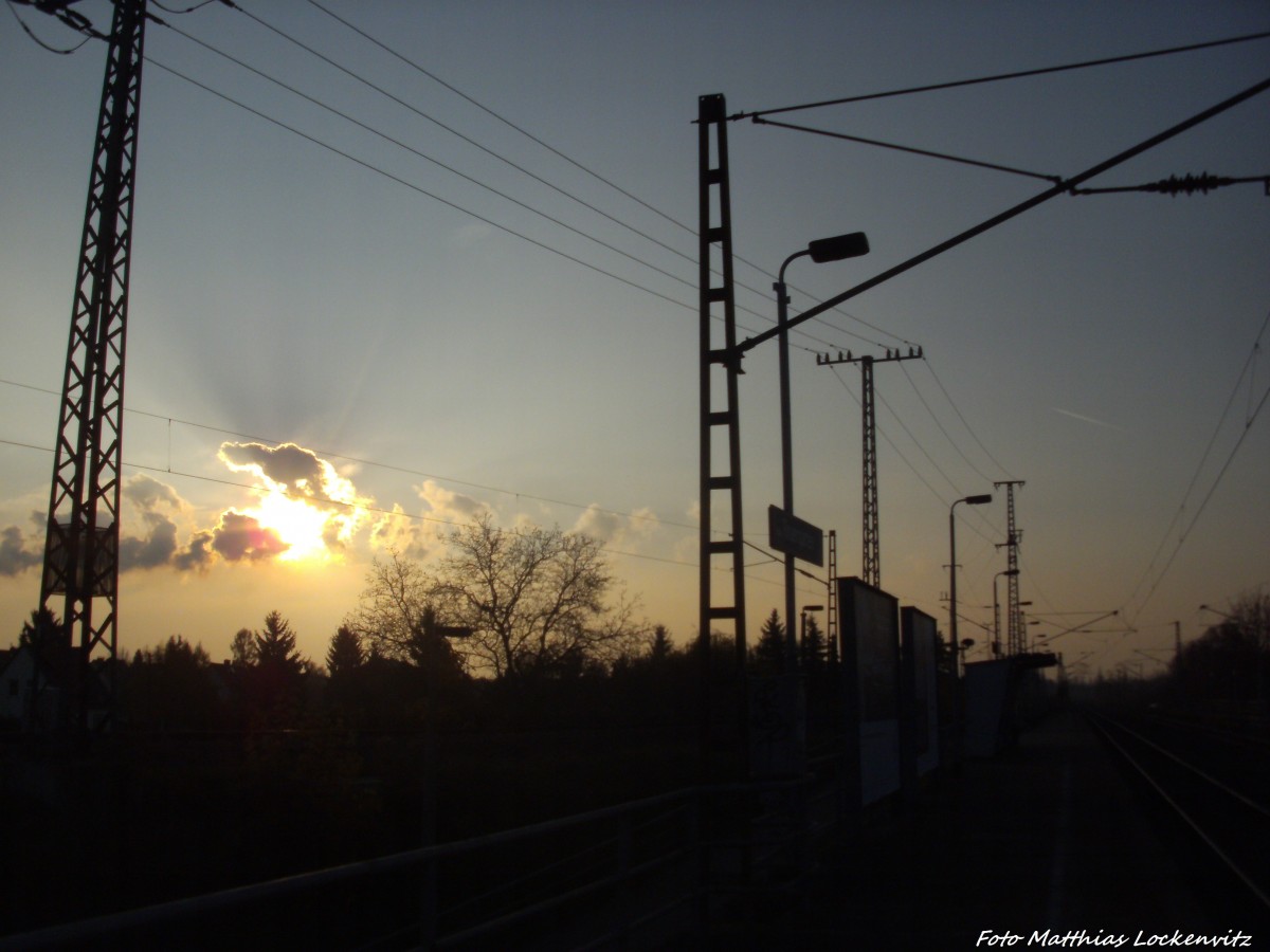 Herbstimpressionen am S-Bahnhof Halle-Rosengarten am 15.11.14