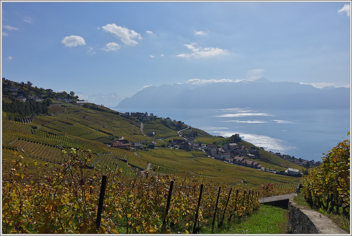 Herbstliches Ambiente im Lavaux.
(23.010.2014)