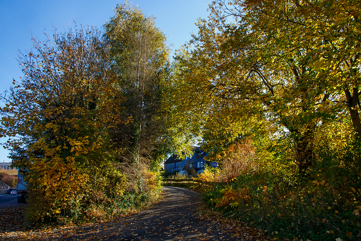 Herbstzeit im Hellertal.....
Hier am 28.10.2021 in Herdorf.
