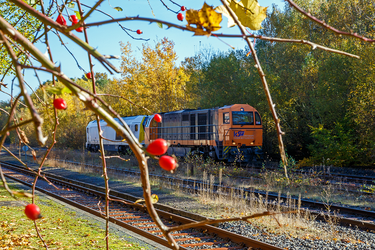 Herbstzeit im Hellertal.....und Hagebutten im Vordergrund....
Noch haben sie am 28.10.2021 im Bahnhof Herdorf auf Gleis 4 Hp 0 und müssen den Gegenzug RB 96 – Hellertalbahn abwarten, die Mietlok die Voith Maxima 30 CC – VTLT 263 005-5 (92 80 1263 005-1 D-VTLT) der Voith Turbo Lokomotivtechnik GmbH & Co. KG am Haken der KSW 43 (92 80 1273 018-2 D-KSW) der KSW (Kreisbahn Siegen-Wittgenstein) bevor es von Herdorf in Richtung Betzdorf (Sieg) weiter geht.