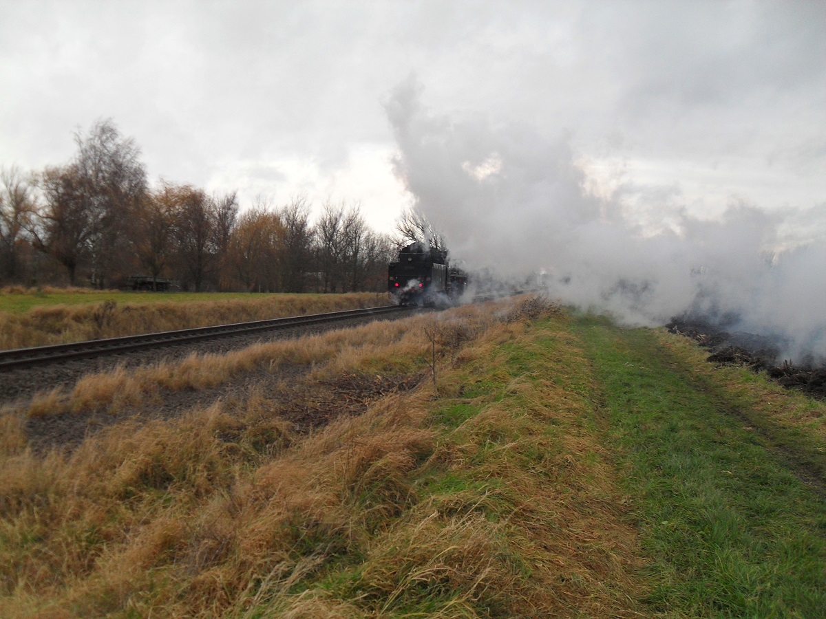 Hier noch ein Nachschuss auf die in Nauendorf am 19.12.2014 an mir vorbei eilende 03 1010-2. Wie geschrieben fuhr sie nach Aschersleben um dort ihren Zug abzuholen welcher dort um 11 Uhr am Folgetag abgefahren ist um die Sonderzugfahrg�ste auf die Weihnachtsm�rkte nach Erfurt und Eisenach zu bringen.

� Mittelbach, Nauendorf am 19.12.2014