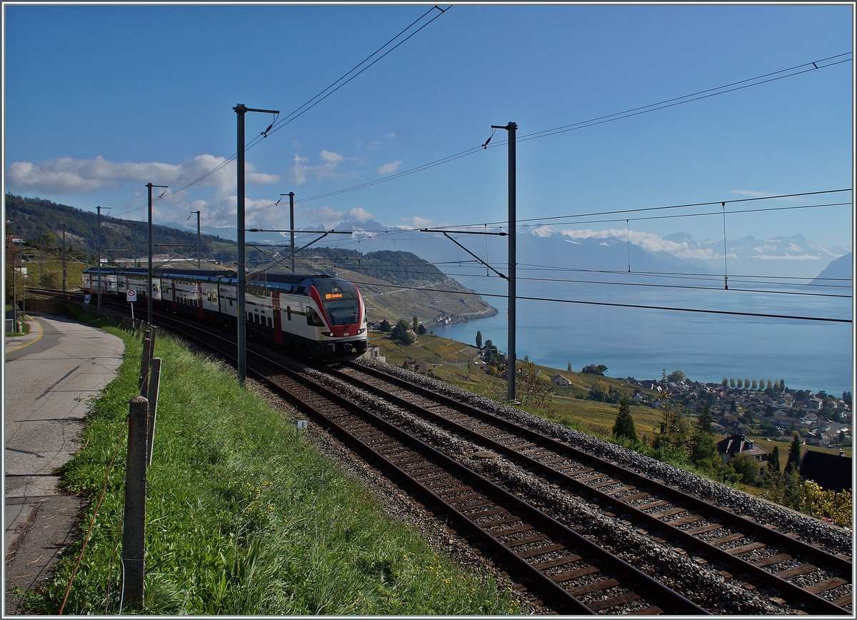 Hier wird dem Zug, dem RABe 511 von Romont nach Genève, ganz klar nur eine schattige Nebenrolle eingeräumt.
Bei Grandvaux, den 23. Okt. 2014