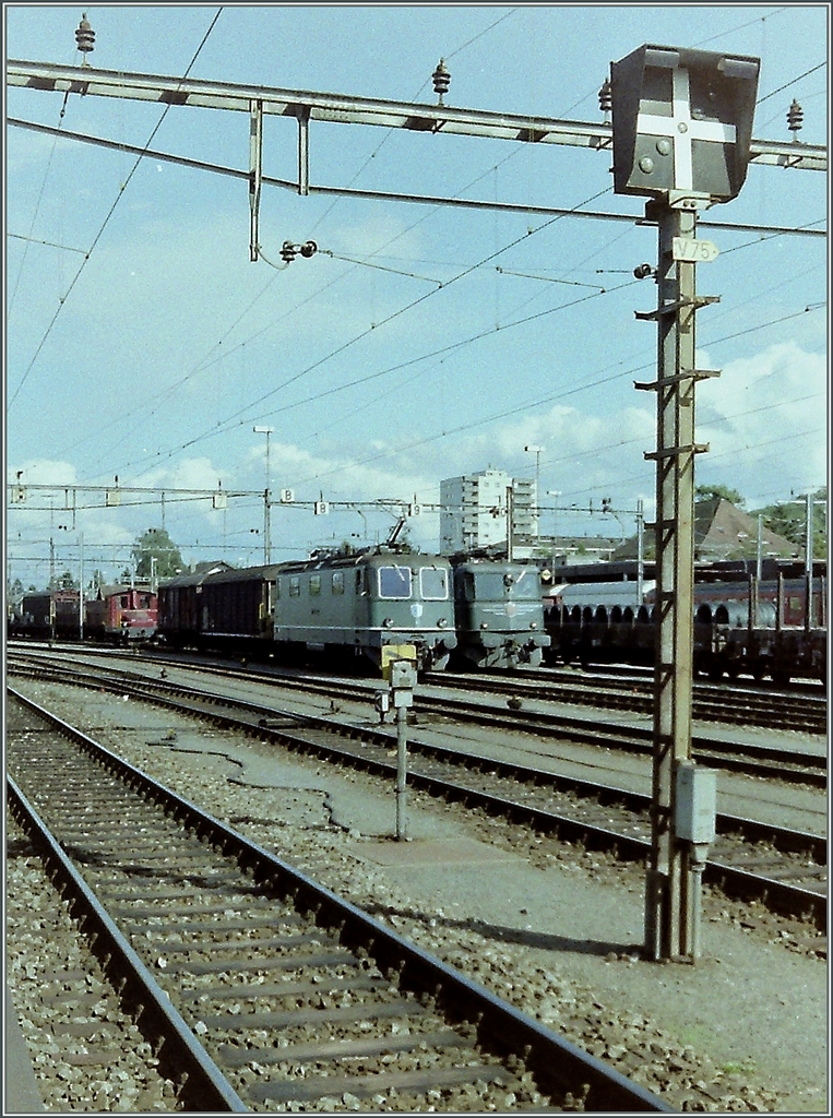 Hinter einem Rangiersignal in Solothurn warten eine SBB Ae 6/6 und die VHB Re 4/4 III 141 mit Güterzügen auf die Abfahrt.
Analoges Bild/Sept. 1993