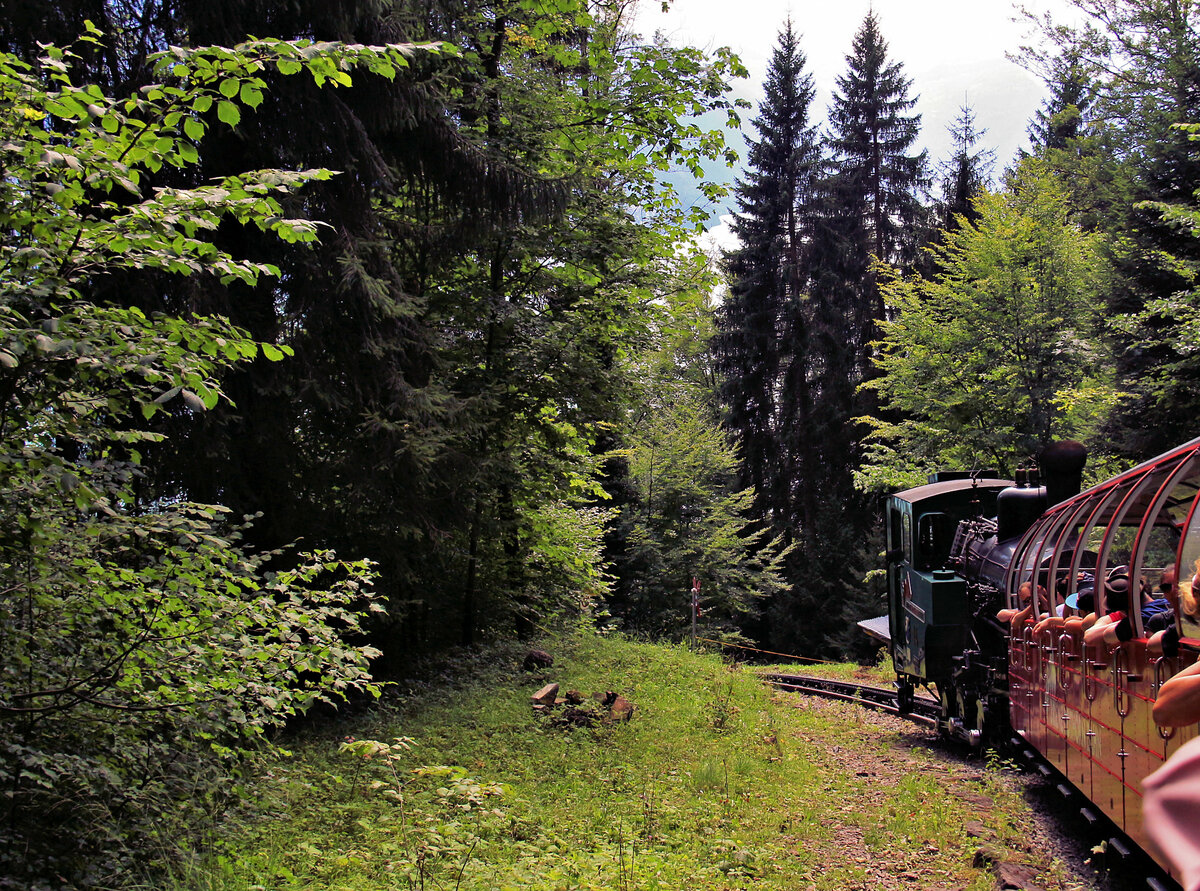 Hinter Lok 14 im Abstieg von Geldried nach Brienz. 5.August 2017 