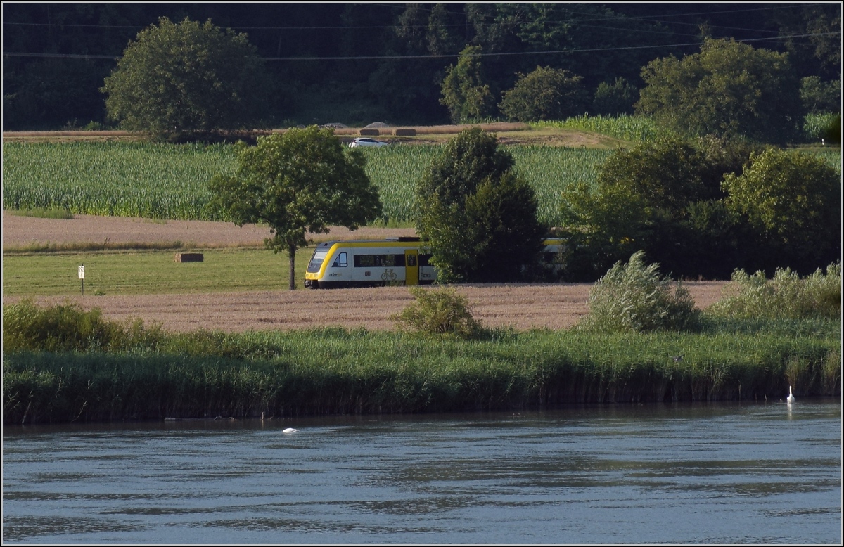 Hochwasser am Hochrhein.

Dem Oberwasser vom Kraftwerk Ryburg-Schwörstadt sieht man das Hochwasser nicht an, dahinter zeigt sich ein 612. Möhlin, Juli 2021. 