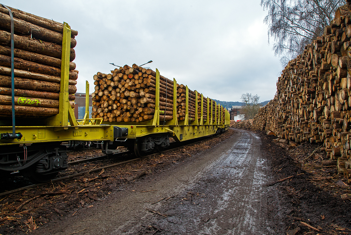 Holztransport im Siegerland: Gewaltige Forstschäden an dem kompletten Fichtenbestand durch den Borkenkäfer sind in der Region zu beobachten. Mit der Abholzung kommt man nicht hinterher. Hier in Siegen-Eintracht auf dem Betriebsgelände der KSW (Eisern-Siegener Eisenbahn NE 437) findet die Holzverladung der Region, von den LKW´s auf die Schiene, statt. 

Drehgestell-Flachwagen mit vier Radsätzen und Niederbindeeinrichtung, 37 80 4723 834-0 D-GATXD, der Gattung Snps 199 (GATX Typ 9430), der GATX Rail Germany GmbH, beladen mit Fichten-Rundholz abgestellt am 19.12.2021 in Siegen-Eintracht auf der Gleisanlage der Kreisbahn Siegen-Wittgenstein (KSW). 

Der Wagen, ist sehr neu, er wurde 2021 vom bulgarischen Hersteller Transwagon-AD (ТРАНСВАГОН АД) in Burgas (Bulgarien) unter der Fabriknummer 50493 gebaut. 

TECHNISCHE DATEN:
Gattung: Snps 199  (GATX Typ 9430)
Spurweite: 1.435 mm (Normalspur)
Anzahl der Achsen 4 (in 2 Drehgestellen)
Länge über Puffer: 22.860 mm
Drehzapfenabstand: 16.560 mm
Radsatzstand in den Drehgestellen: 1.800 mm
Laufraddurchmesser: 920 mm (neu)
Ladelänge: 21.620 mm
Ladefläche: 57,0 m²
Eigengewicht: 23.340 kg
Zuladung bei Lastgrenze S: 66,6 t (ab Streckenklasse D)
Max. Geschwindigkeit: 100 km/h (beladen) / 120 km/h (leer)
Kleinster Gleisbogenhalbmesser: 75 m
Bauart der Bremse: KE-GP-A  (K)
Bremssohle: C 810
Intern. Verwendungsfähigkeit: TEN-GE