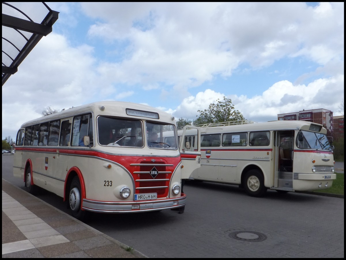 IFA H6B und Ikarus 66 der Rostocker Straenbahn AG in Rostock.