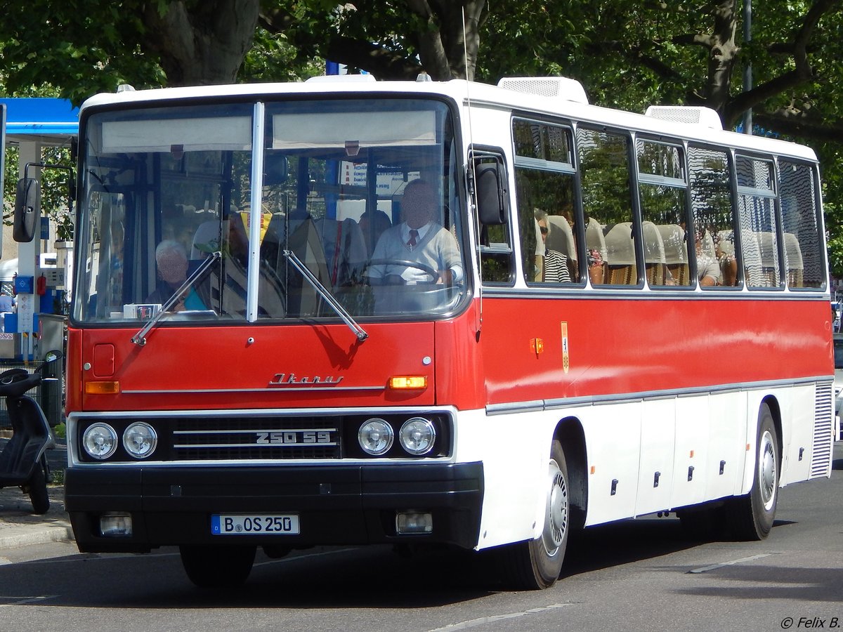 Ikarus 250.59 vom Oldtimer Bus Verein Berlin e.V. aus Deutschland in Berlin.