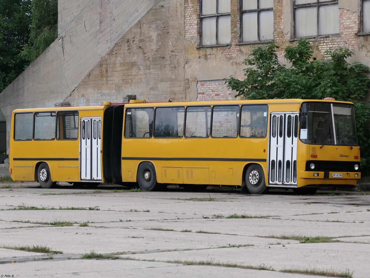 Ikarus 280 vom Technikmuseum Pütnitz (ex Schönebecker Buslinien) in Pütnitz.