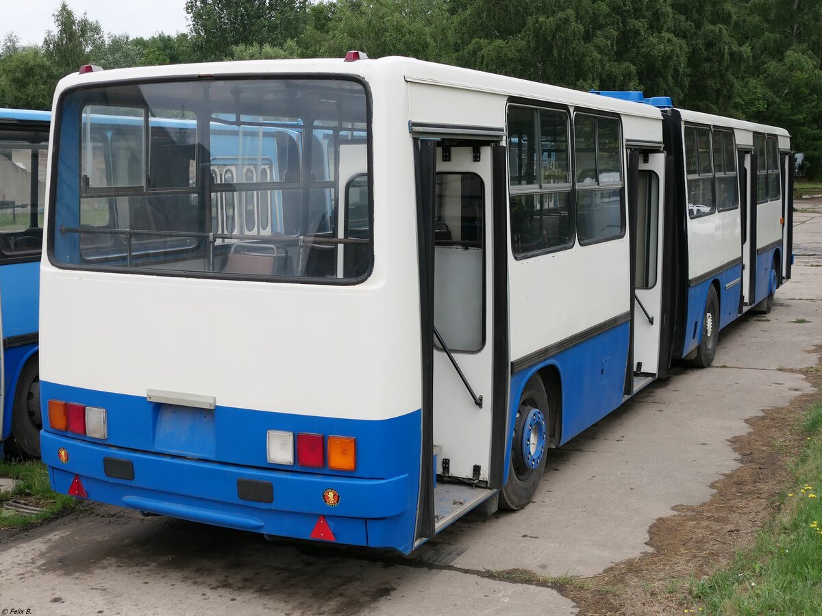 Ikarus 280 vom Technikmuseum Pütnitz (exex Kapos Volán Zrt. (BY 64-60), ex Kaposvári Közlekedési Zrt. (BRS-306)) in Pütnitz.