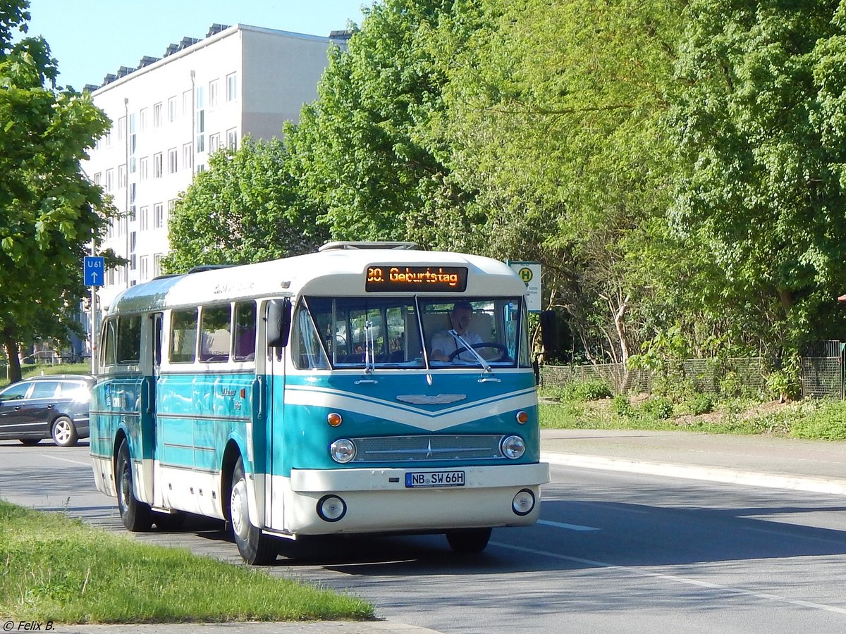 Ikarus 66 der Neubrandenburger Verkehrsbetriebe in Neubrandenburg.