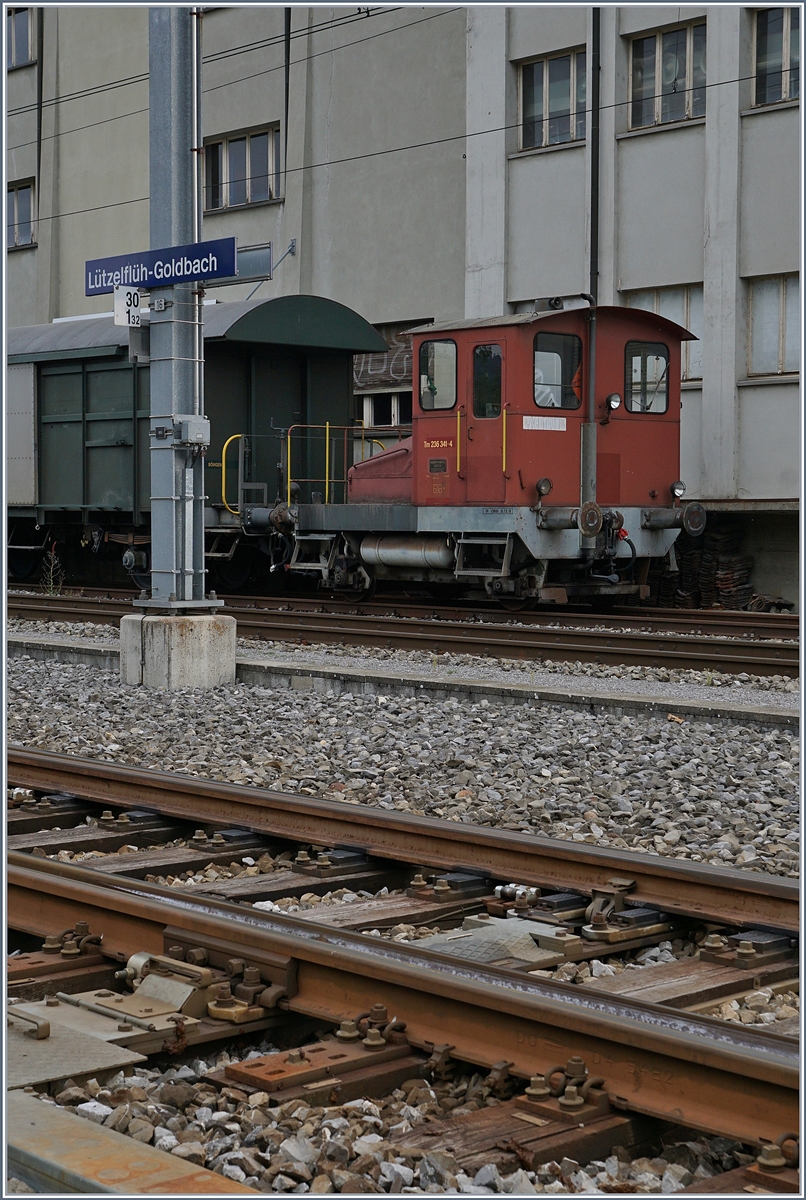 Im Bahnhof von Lützelflüh-Goldbach steht einer der noch wenigen verbleinen einst so zahlreichen  Stationstraktoren  Tm I mit der Nummer 236 341-4; allem Anschein nach scheint diese  Spitzmaus  in recht gutem Zustand hin und wieder im Einsatz zu sein. 

21. Sept. 2020