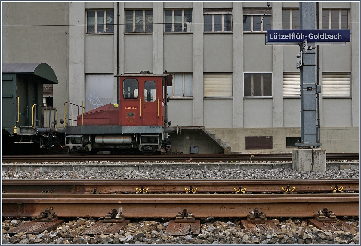 Im Bahnhof von Lützelflüh-Goldbach steht einer der noch wenigen verbliebenen, einst so zahlreichen  Stationstraktoren . Der Tm I mit der Nummer 236 341-4; allem Anschein nach scheint diese  Spitzmaus  in recht gutem Zustand hin und wieder im Einsatz zu sein.

21. September  2020
