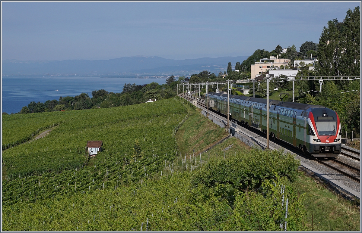 Im Lavaux kurz vor La Conversion ist ein SBB RABe 511 auf dem Weg nach Lausanne. 

14. Juli 2020