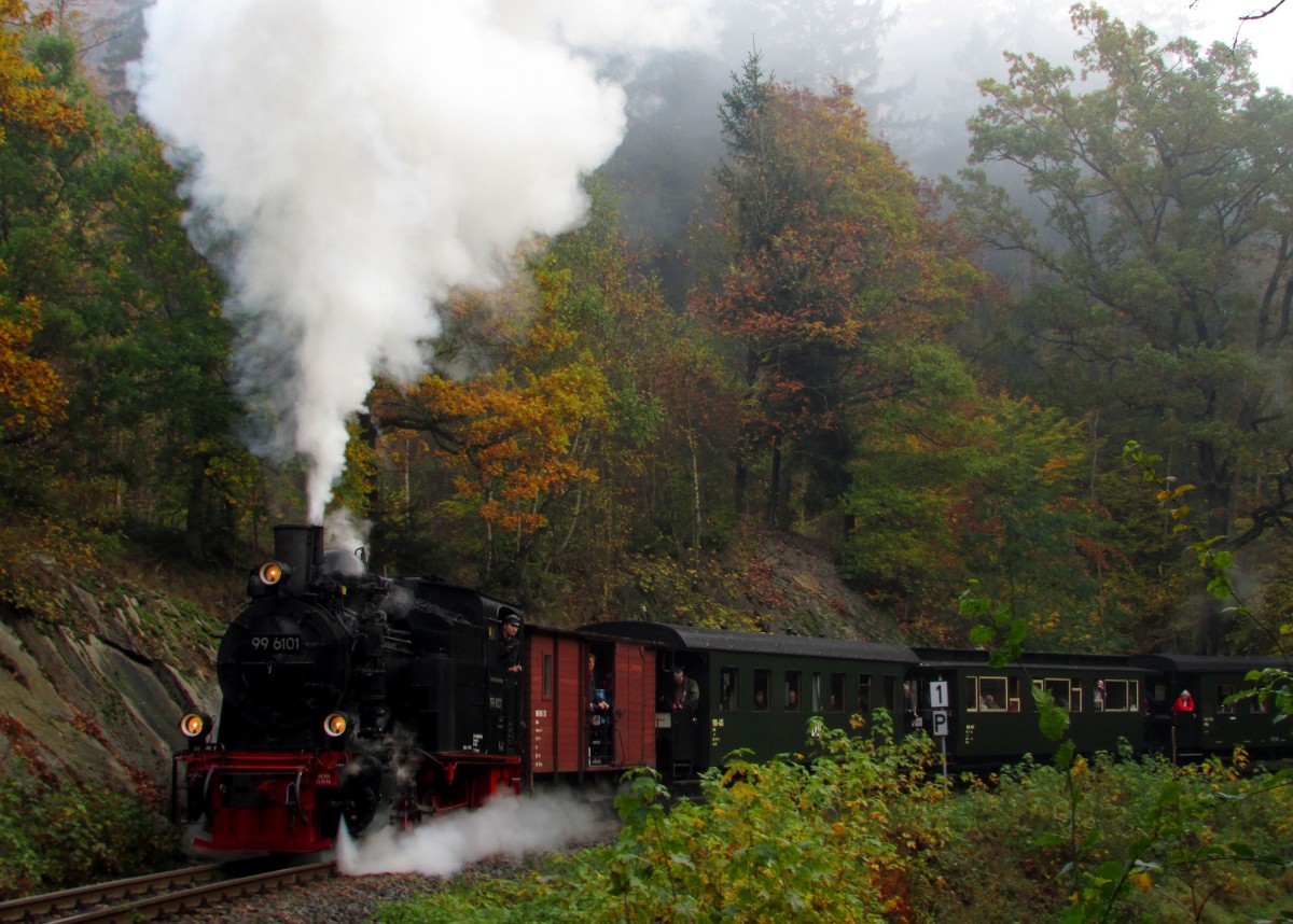 Im Rahmen eines Fotowochenende fuhr am 18.10.14 die 99 6101 mit einem Fotozug von Quedlinburg über Gernrode-Alexisbad-Silberhütte-Stiege nach Hasselfelde und zurück.Hier verlässt  Pfiffi  so wird die kleine Lok Liebevoll genannt den Scheinanfahrtspunkt kurz vor Drahtzug lautstark.