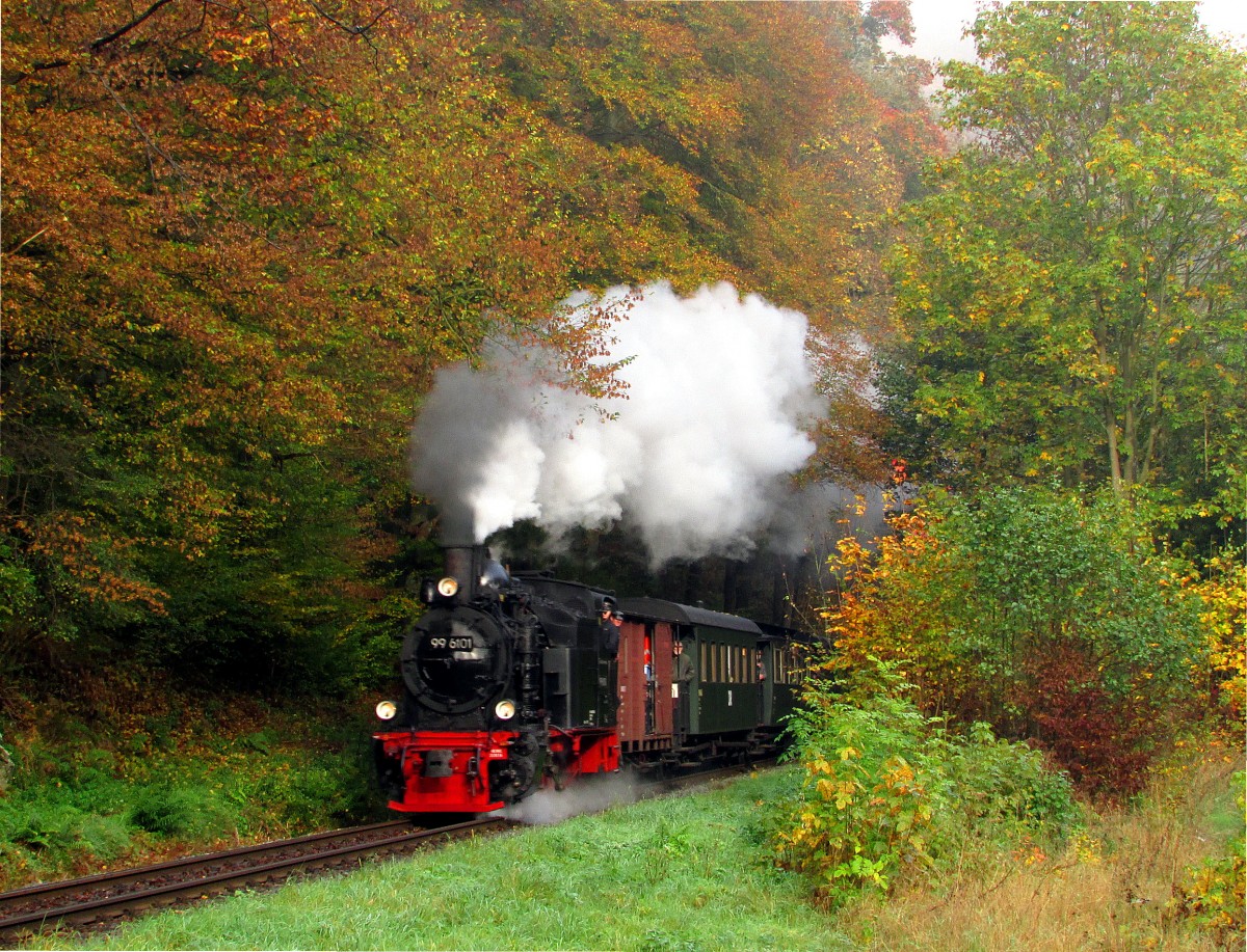 Im Rahmen eines Fotowochenende fuhr am 18.10.14 die 99 6101 mit einem Fotozug von Quedlinburg über Gernrode-Alexisbad-Silberhütte-Stiege nach Hasselfelde und zurück.Hier stürmt sie aus dem Wald vor Alexisbad heraus.