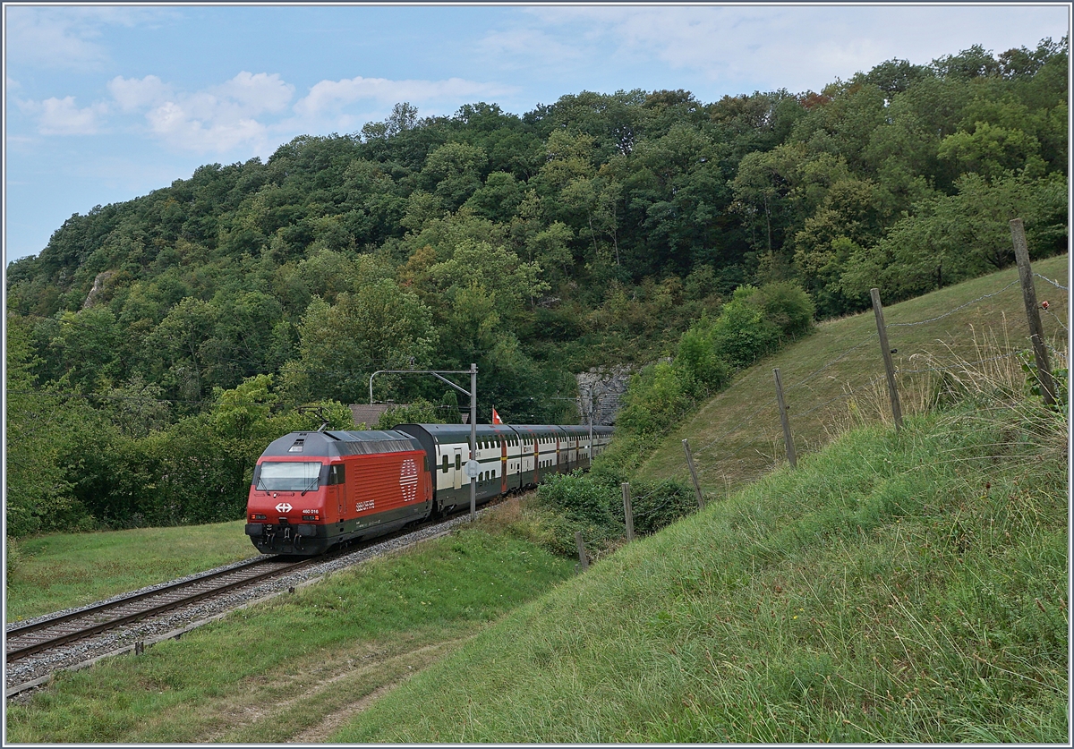 Im Sommer 2018 standen unter anderem auch auf der Hauensteinlinie Baumassnahmen an, so dass die  Alte Hauensteinlinie  in den Genuss von Umleitungsverkehr kam: Eine SBB Re 460 erreicht  zwischen Läufelfingen und Buckten den  Buckten Tunnel (263 Meter).

7. August 2018