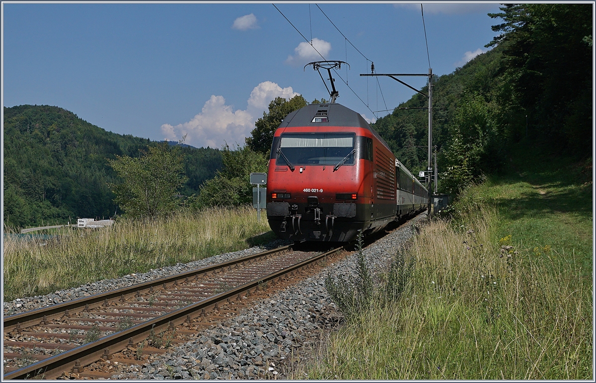 Im Sommer 2018 standen unter anderem auch auf der Hauensteinlinie Baumassnahmen an, so dass die  Alte Hauensteinlinie  in den Genuss von Umleitungsverkehr kam: Eine SBB Re 460 ist mit einem IR/IC bei Rümlingen auf dem Weg nach Basel SBB. 

18. Juli 2018